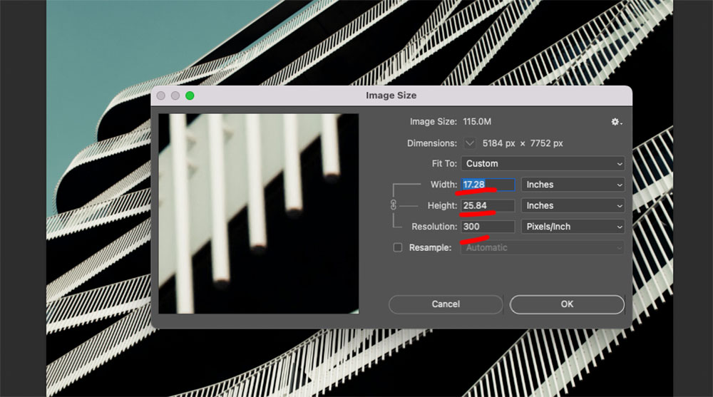 300 PPI Image File