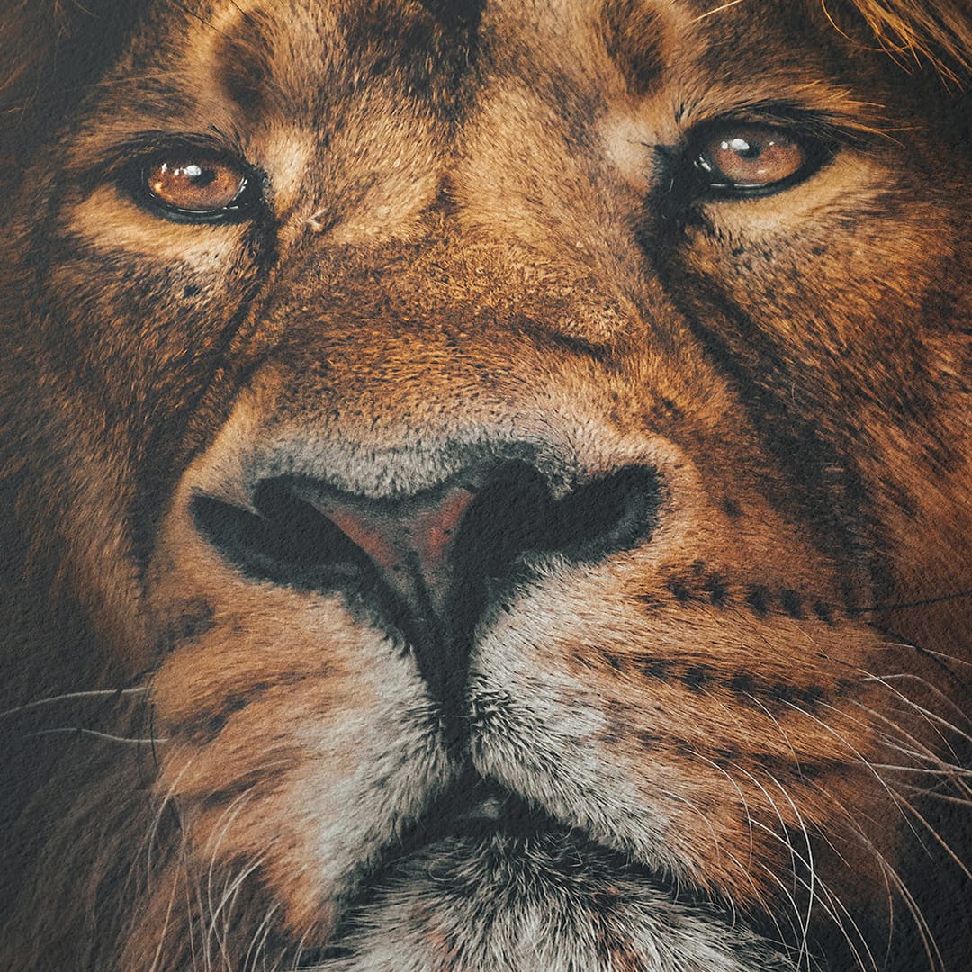 Detail of a restored archival print mounted in a fine art frame